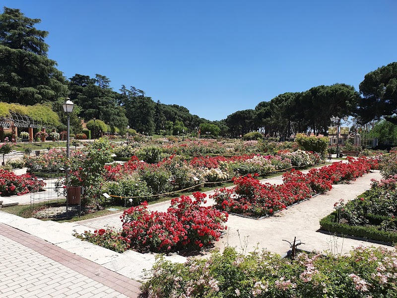 Paseo matutino por el Parque del Oeste y Templo de Debod