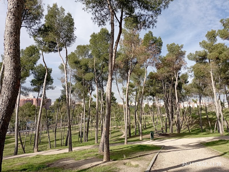 Tarde de relax en el Parque de la Elipa