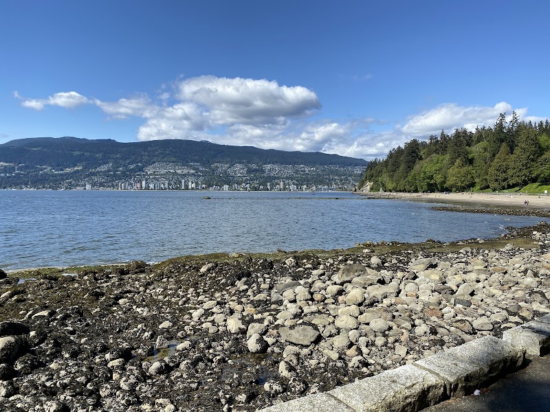 Paseo matutino por Stanley Park (Seawall y Totem Poles)