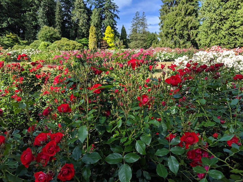 Rose Garden y Beaver Lake en Stanley Park