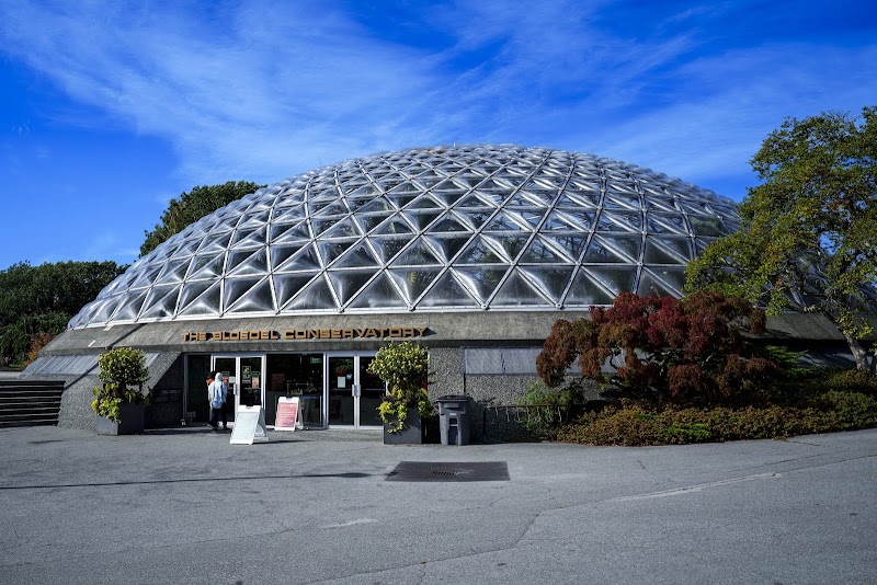 Recorrido por Queen Elizabeth Park y Bloedel Conservatory