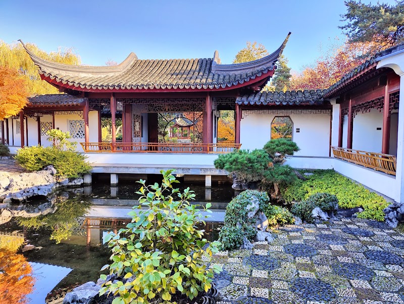 Paseo matutino por Chinatown y Dr. Sun Yat-Sen Classical Chinese Garden