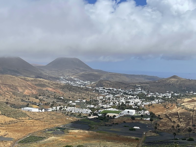 Ruta panorámica en coche por Haría y el Valle de las Mil Palmeras