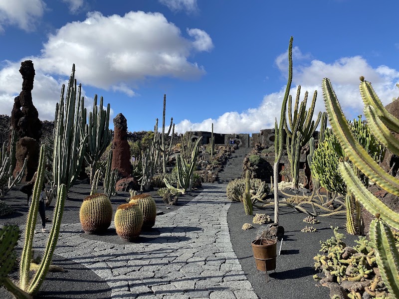 Jardín de Cactus