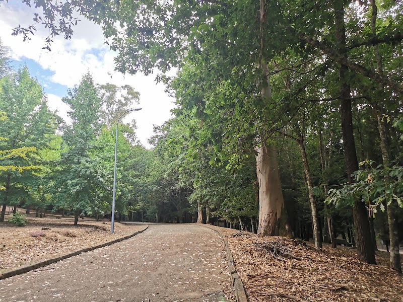 Paseo por el Parque Municipal de O Carballiño