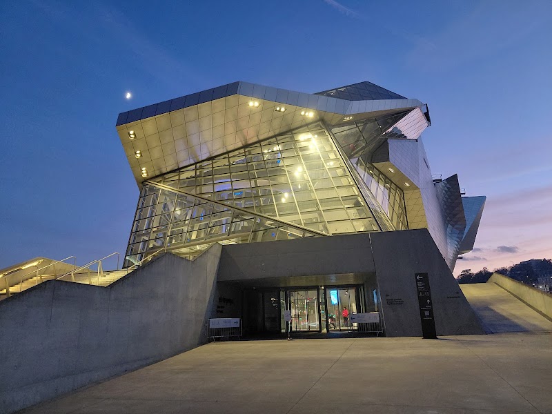 Visita al Musée des Confluences