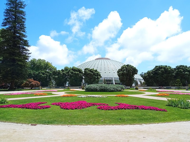 Paseo romántico por los Jardines del Palacio de Cristal