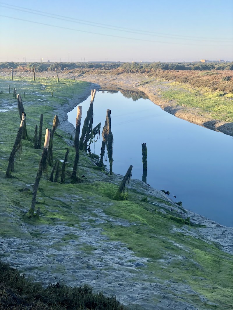 Paseo por el Parque Natural Bahía de Cádiz (San Fernando)