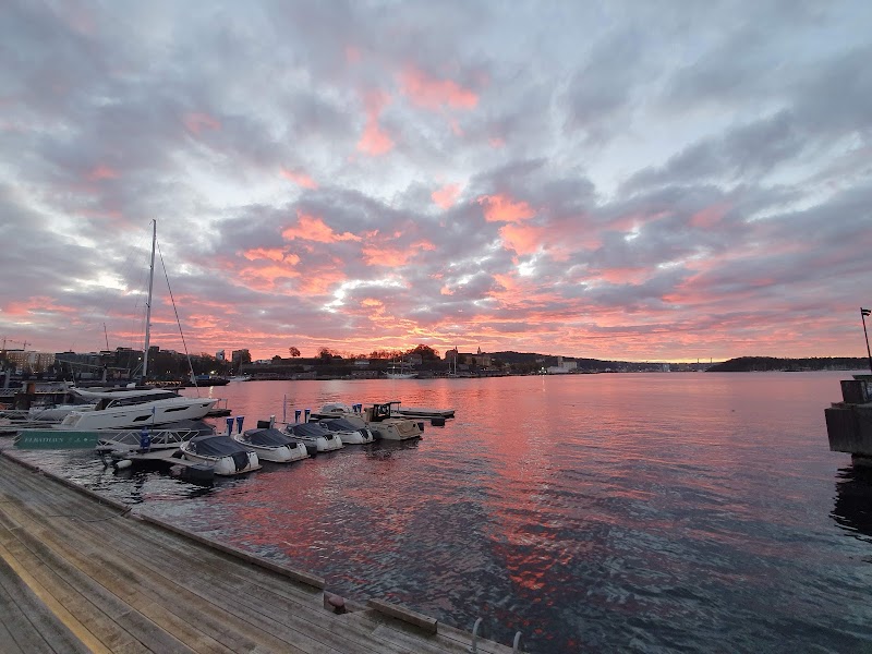Paseo por Aker Brygge y Tjuvholmen