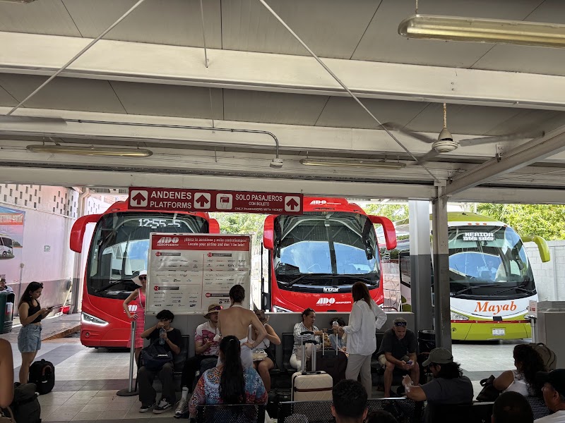 Transport: Tulum to Valladolid (ADO Bus)