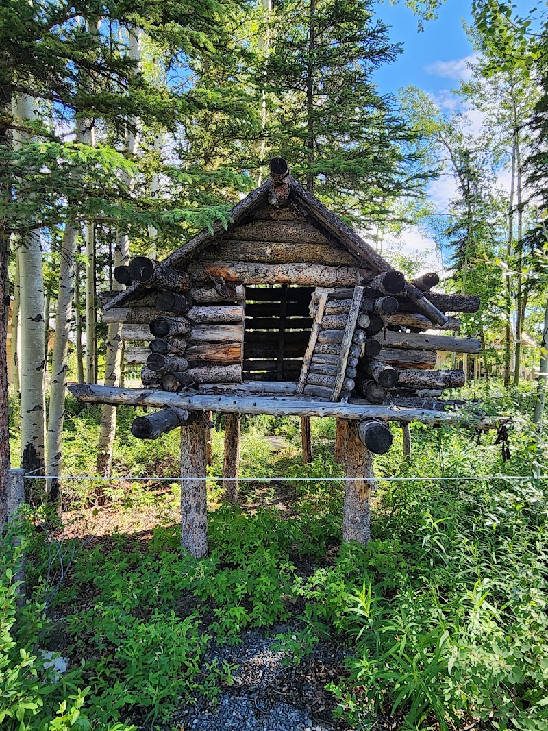 Guided Wildlife Viewing Tour (Glennallen Area)