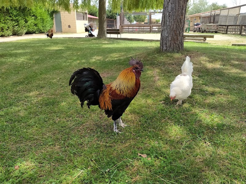 Option : Visite de Rioja Natura Park Zoo (Santo Domingo de la Calzada)