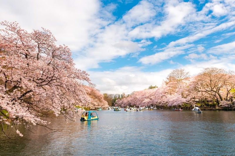 Paseo por Kichijōji y el Parque Inokashira