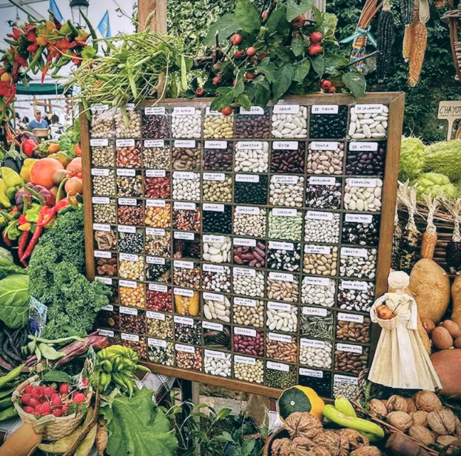 Festival de la Castaña de Otoño
