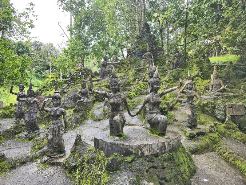 סיור ב-Tarnim Magic Garden