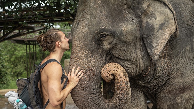 ביקור ב-Samui Elephant Kingdom Sanctuary