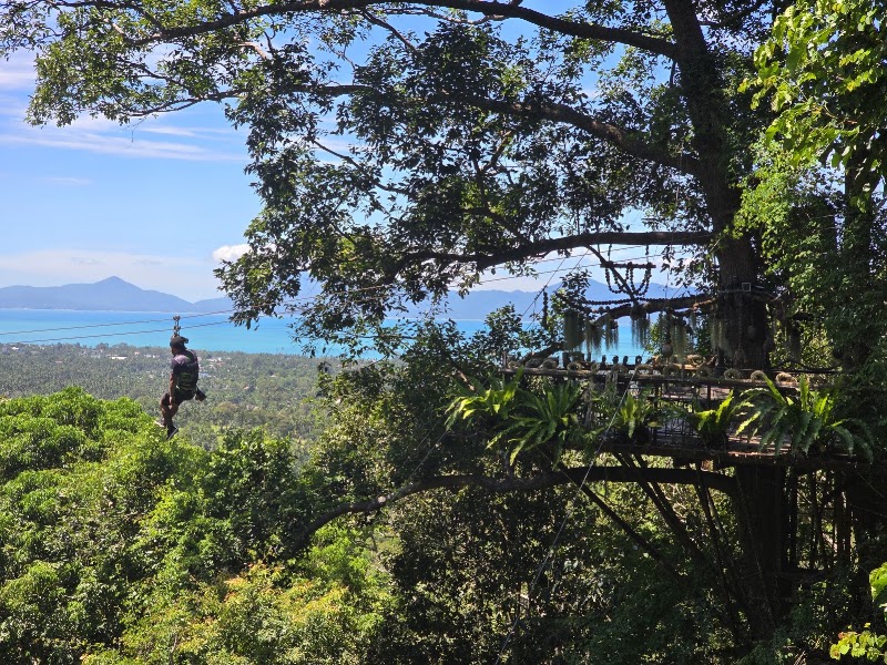 חוויית אומגה ב-Tree Bridge Zipline Samui