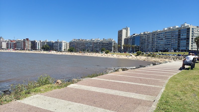 Paseo matutino por la Rambla de Pocitos