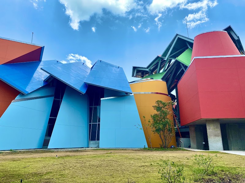 Visita al Biomuseo (opcional)