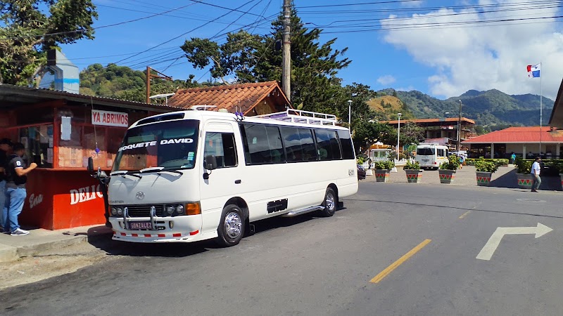 Transporte a Boquete (vuelo a David + traslado terrestre)