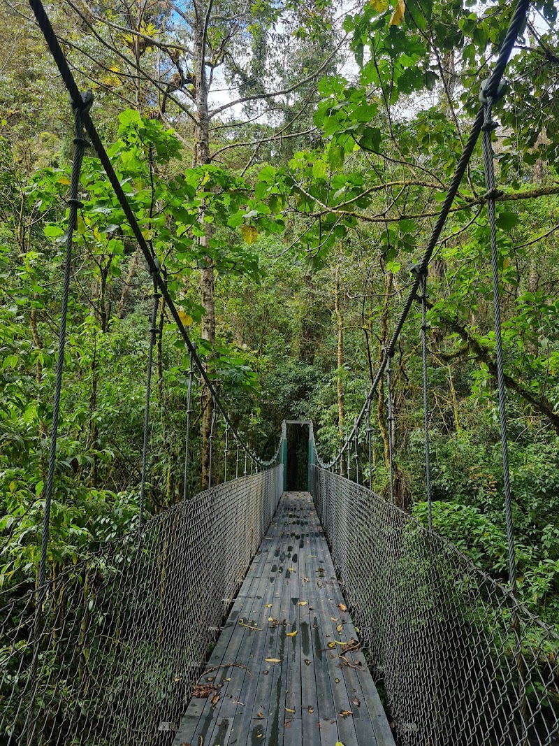 Sendero Los Quetzales (tramo corto)