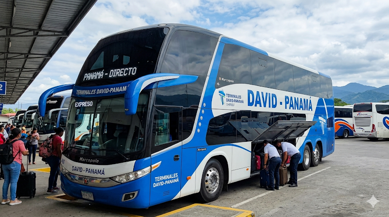Transporte de regreso a Ciudad de Panamá (vuelo desde David)