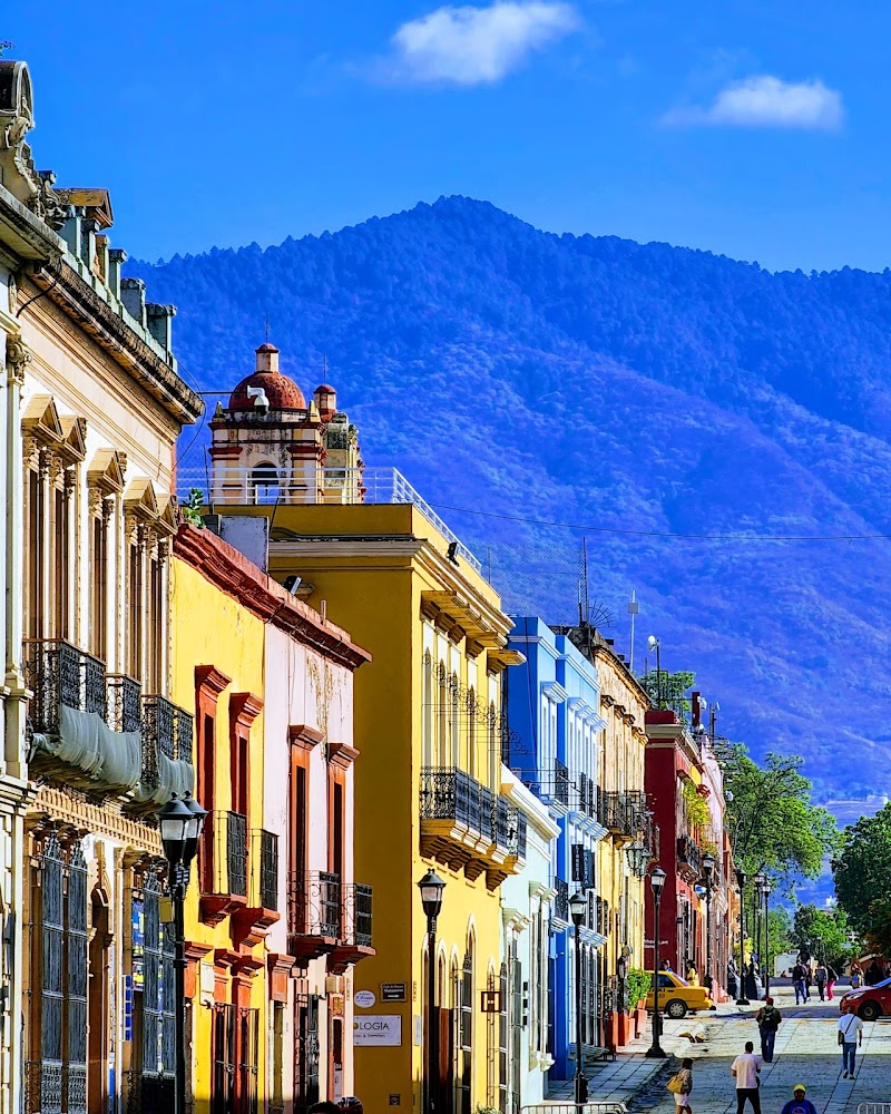 Paseo matutino por el Andador Turístico Macedonio Alcalá
