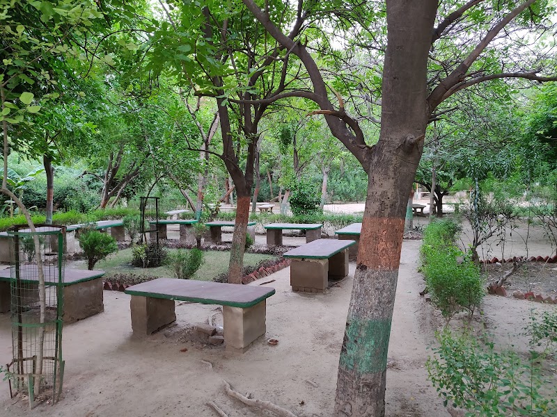 Paseo por Company Bagh (Paliwal Park)