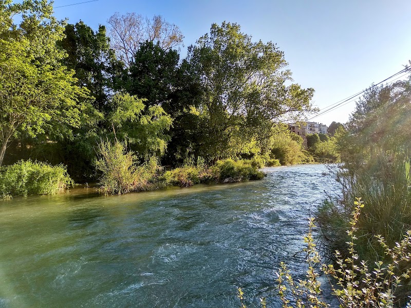 Paseo por el Parque Fluvial del Turia