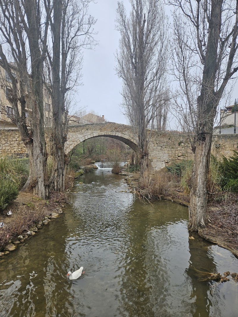 Puente medieval de las Tenerías