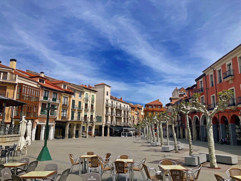 Tarde en la Plaza Mayor y cafés históricos