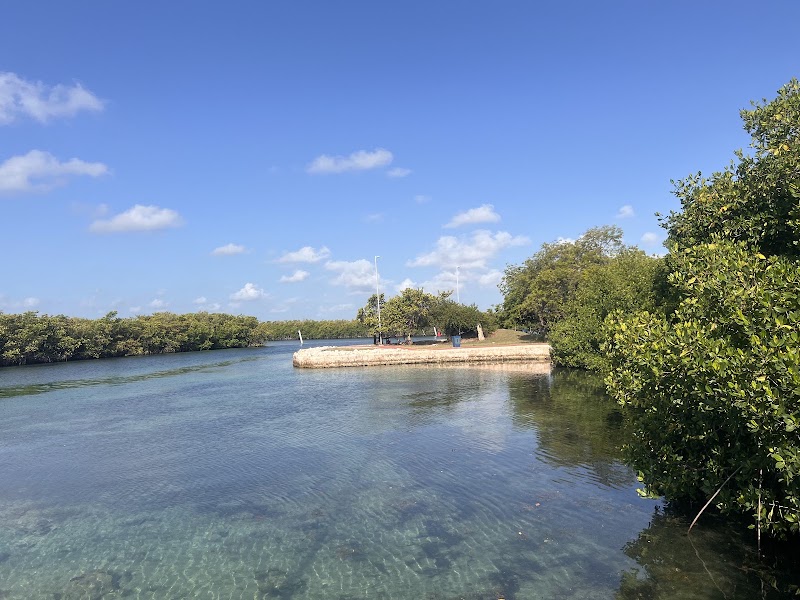Paseo por el Jardín del Arte Cancún (opcional)