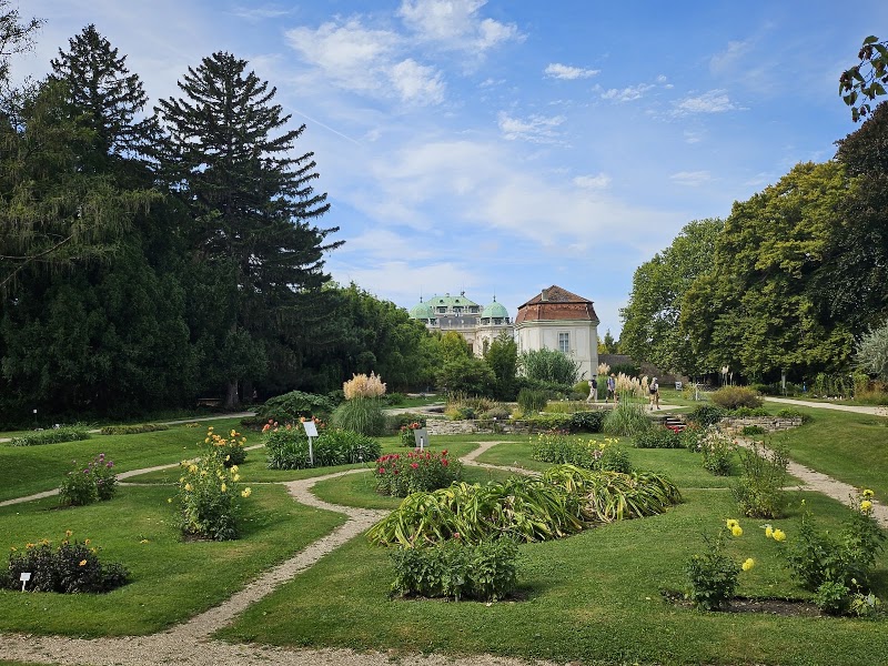 Descanso en el Jardín Botánico de la Universidad de Viena