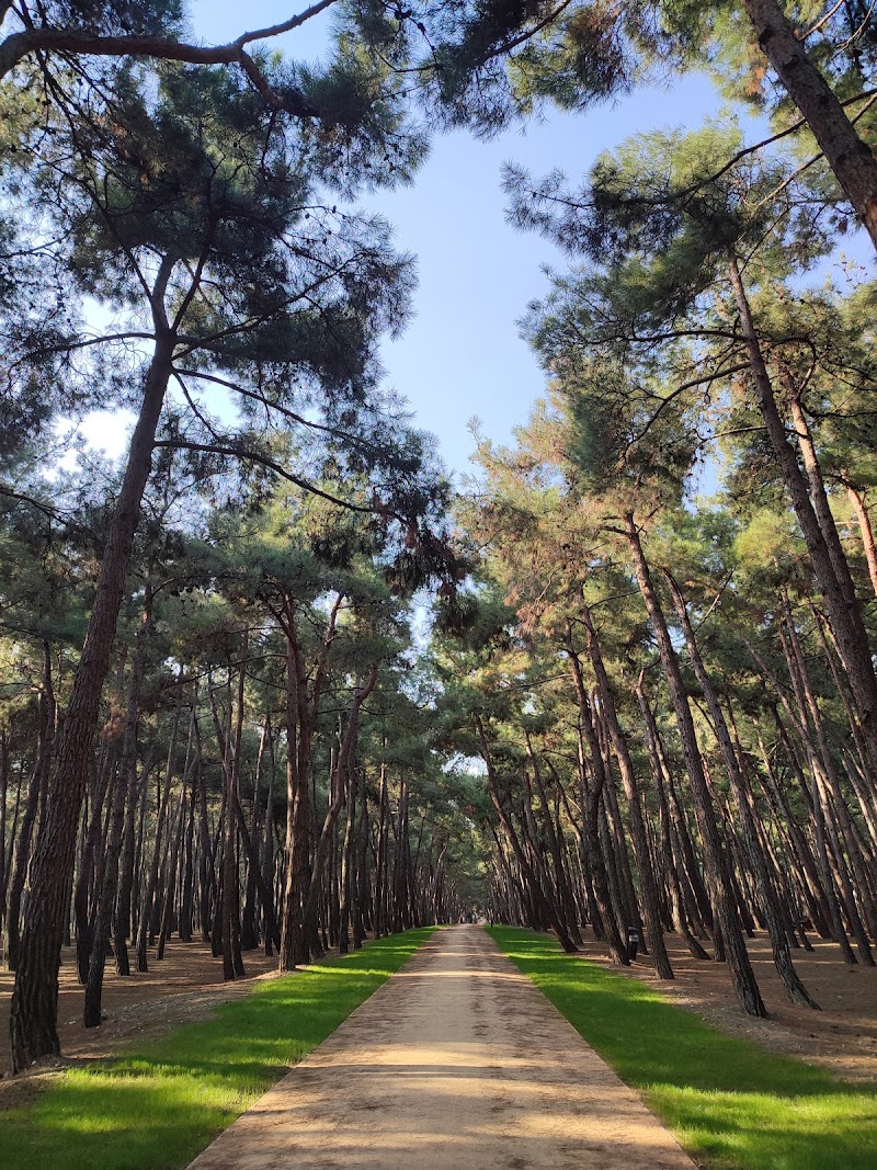 Paseo por el Parque Florya Atatürk
