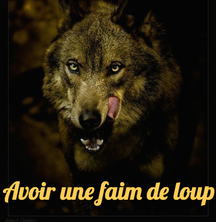 French Studio article image