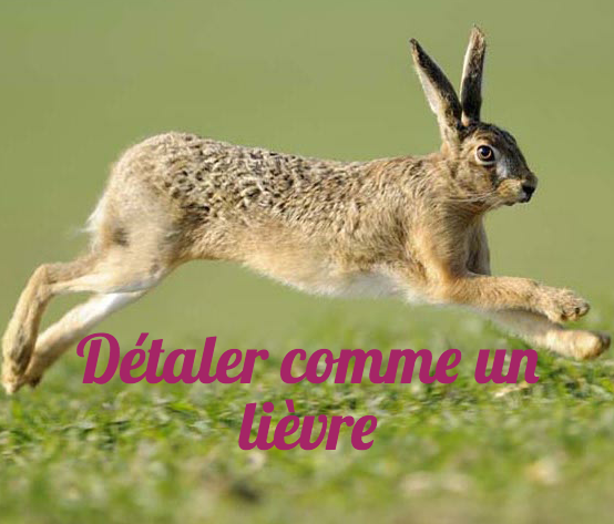 French Studio article image