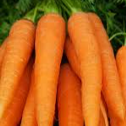 carrot2.png