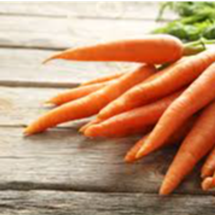 carrot3.png