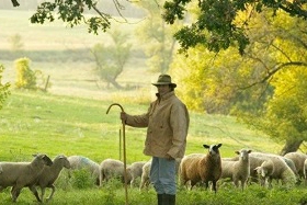 The Way of the Shepherd: Seven Secrets to Managing Productive People