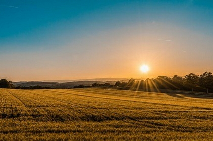 The Miracle Morning: The 6 Habits that Will Transform Your Life Before 8 a.m. The Miracle Morning: The 6 Habits that Will Transform Your Life Before 8 a.m.