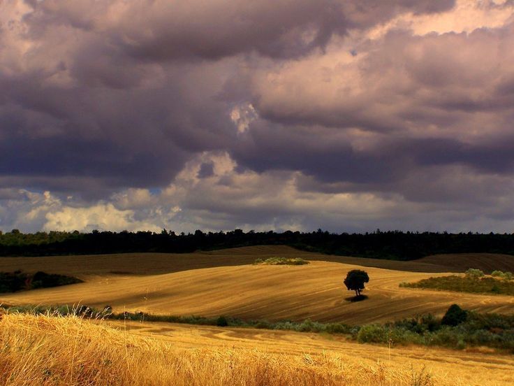 Revisión y transformación agraria en Castilla y León