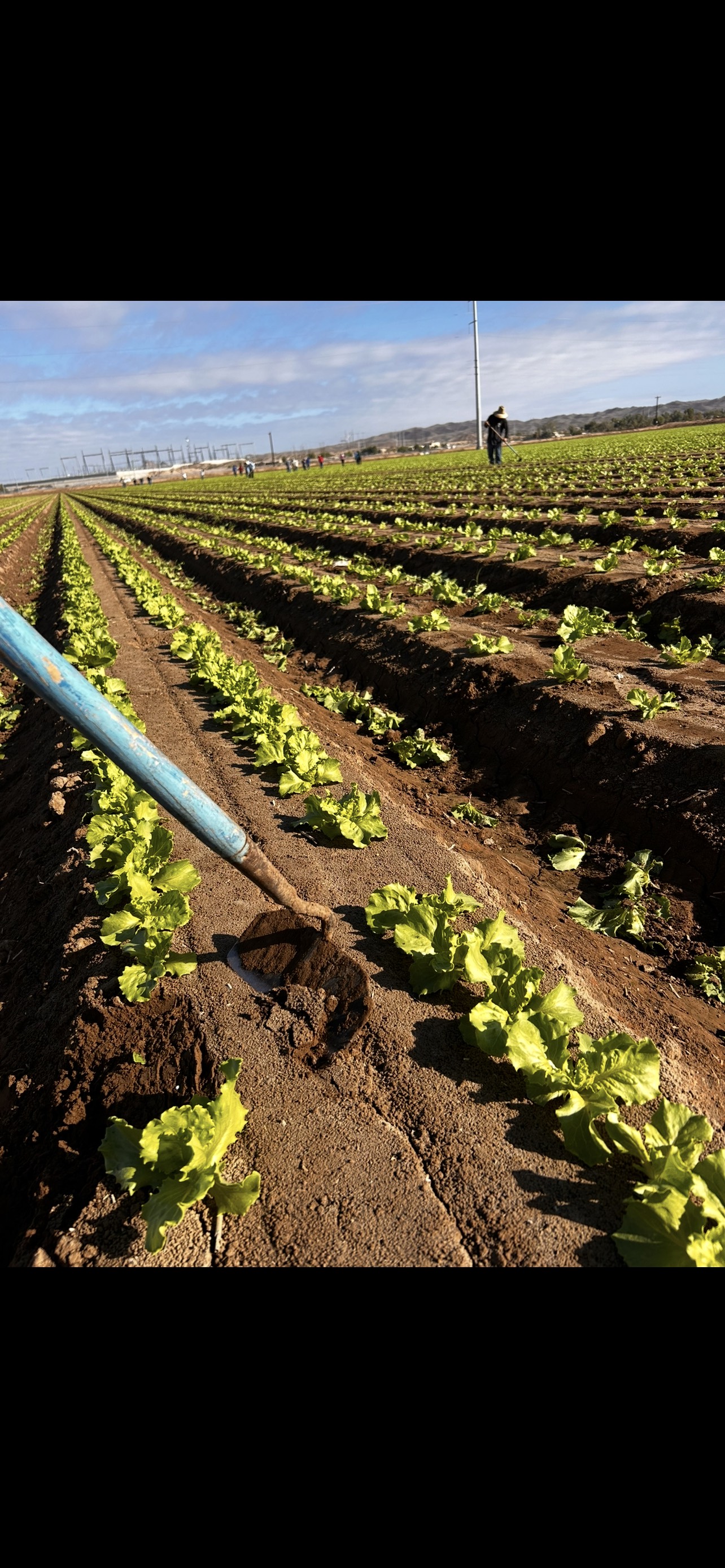 Farm machinery