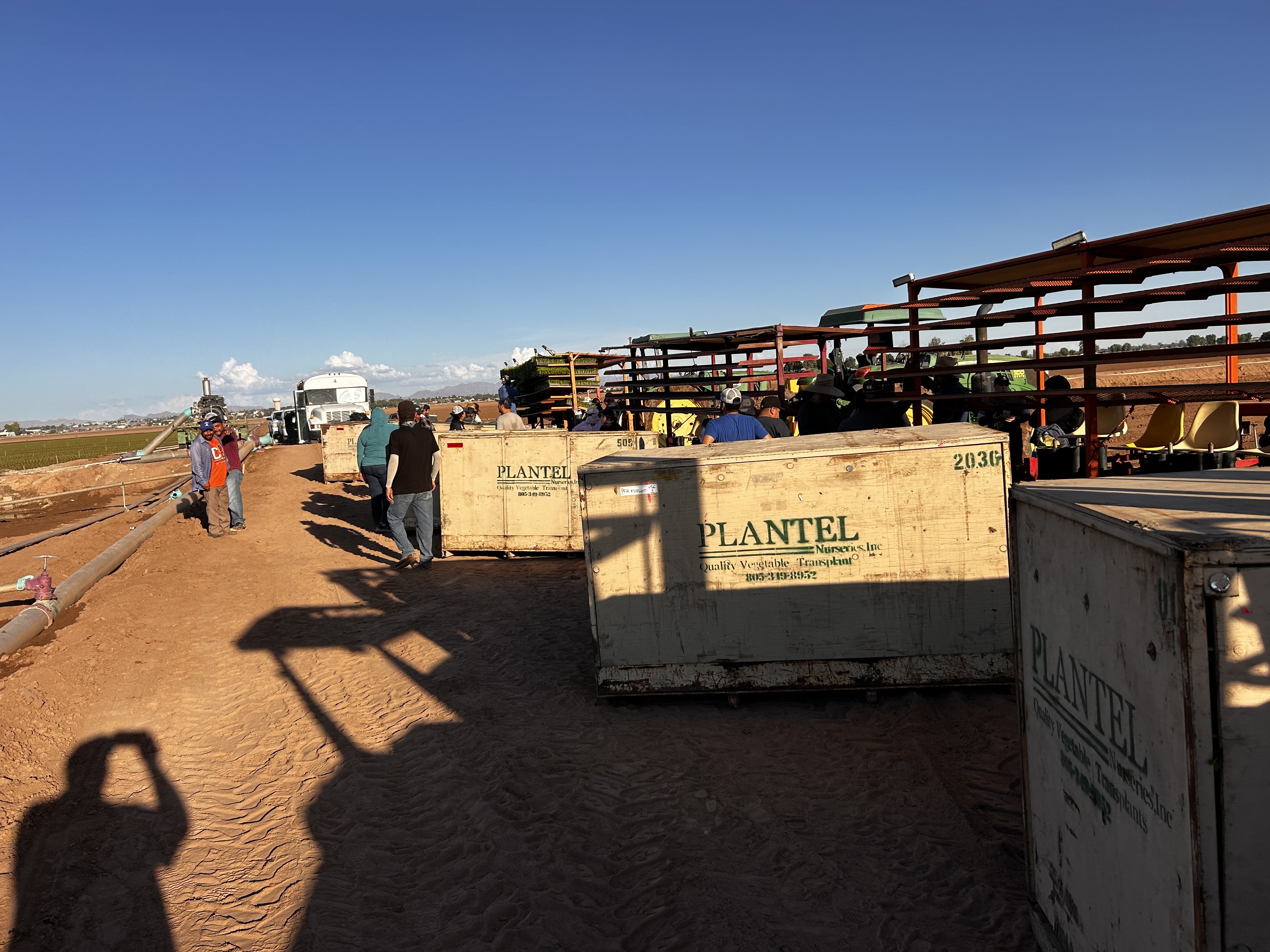 Ortiz Bros field work