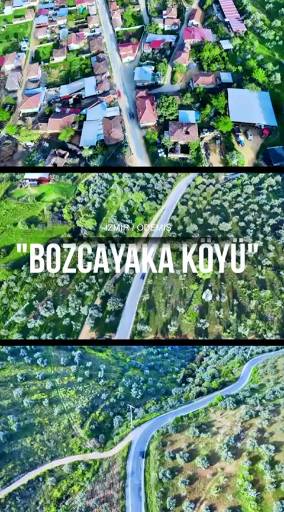 Halo gönderisi