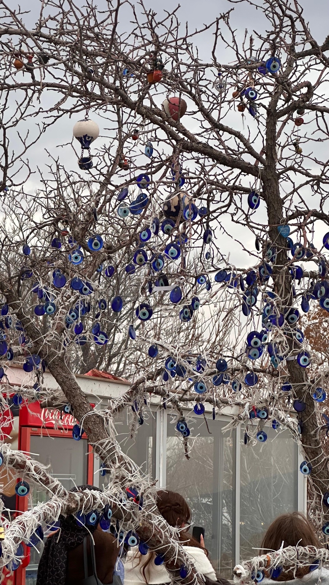 sema korkmaz profil fotoğrafı