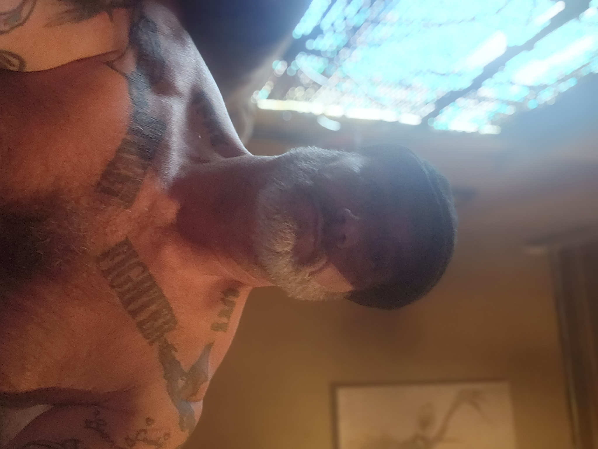 @minglesingle profil fotoğrafı