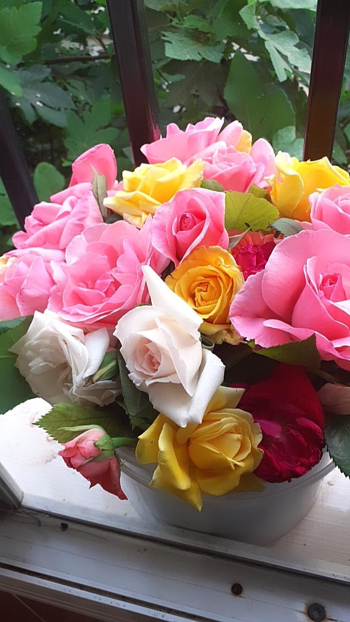 Leylaa profil fotoğrafı