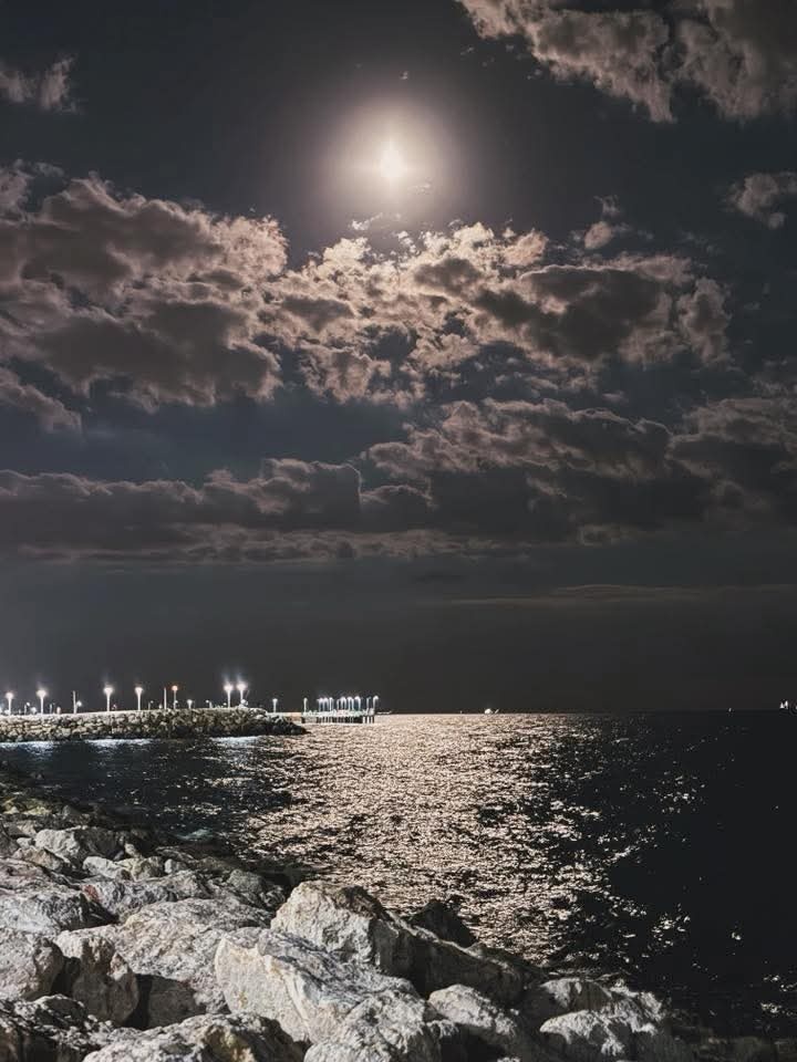 Mustafa profil fotoğrafı