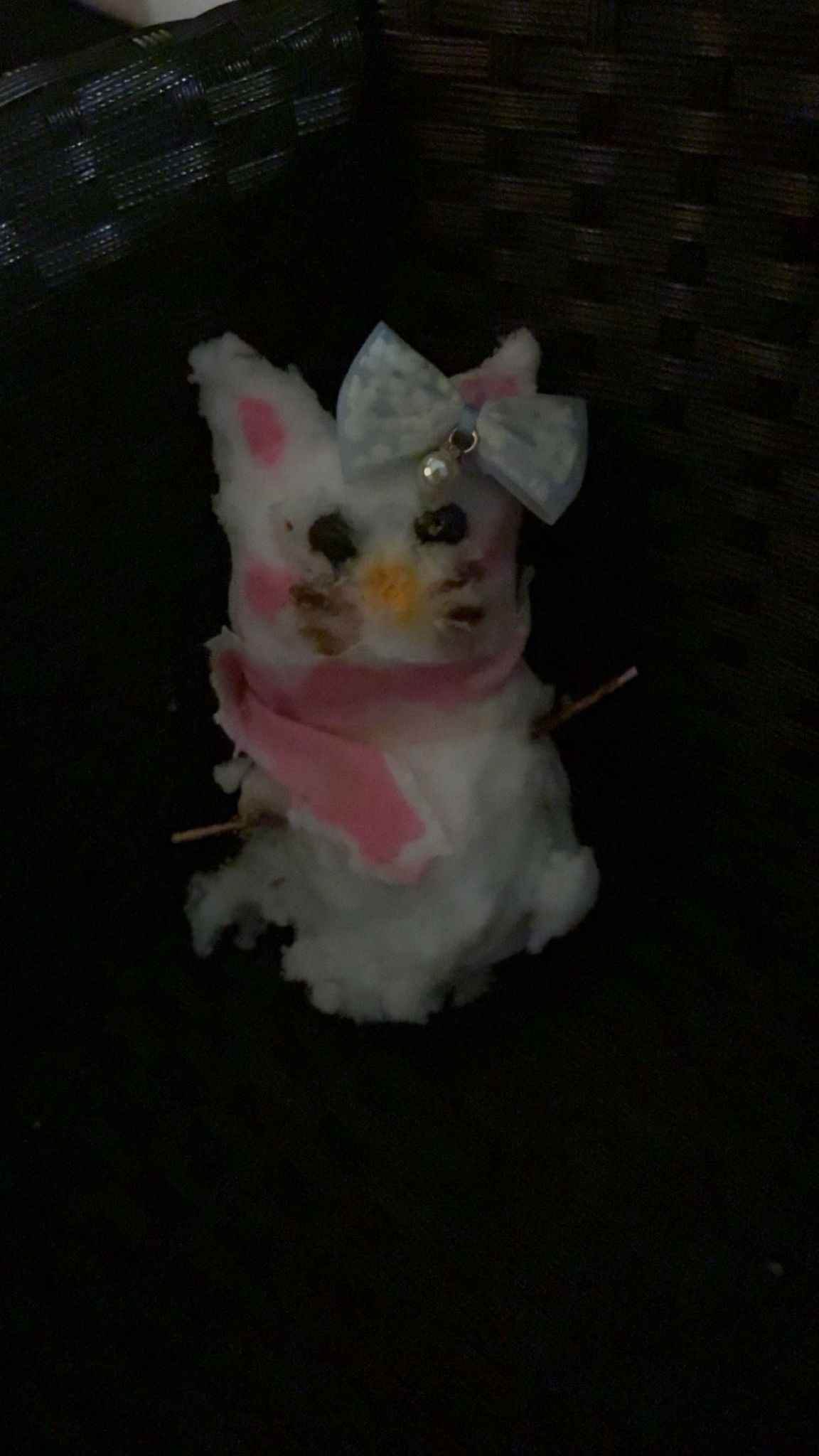 Aslan profil fotoğrafı