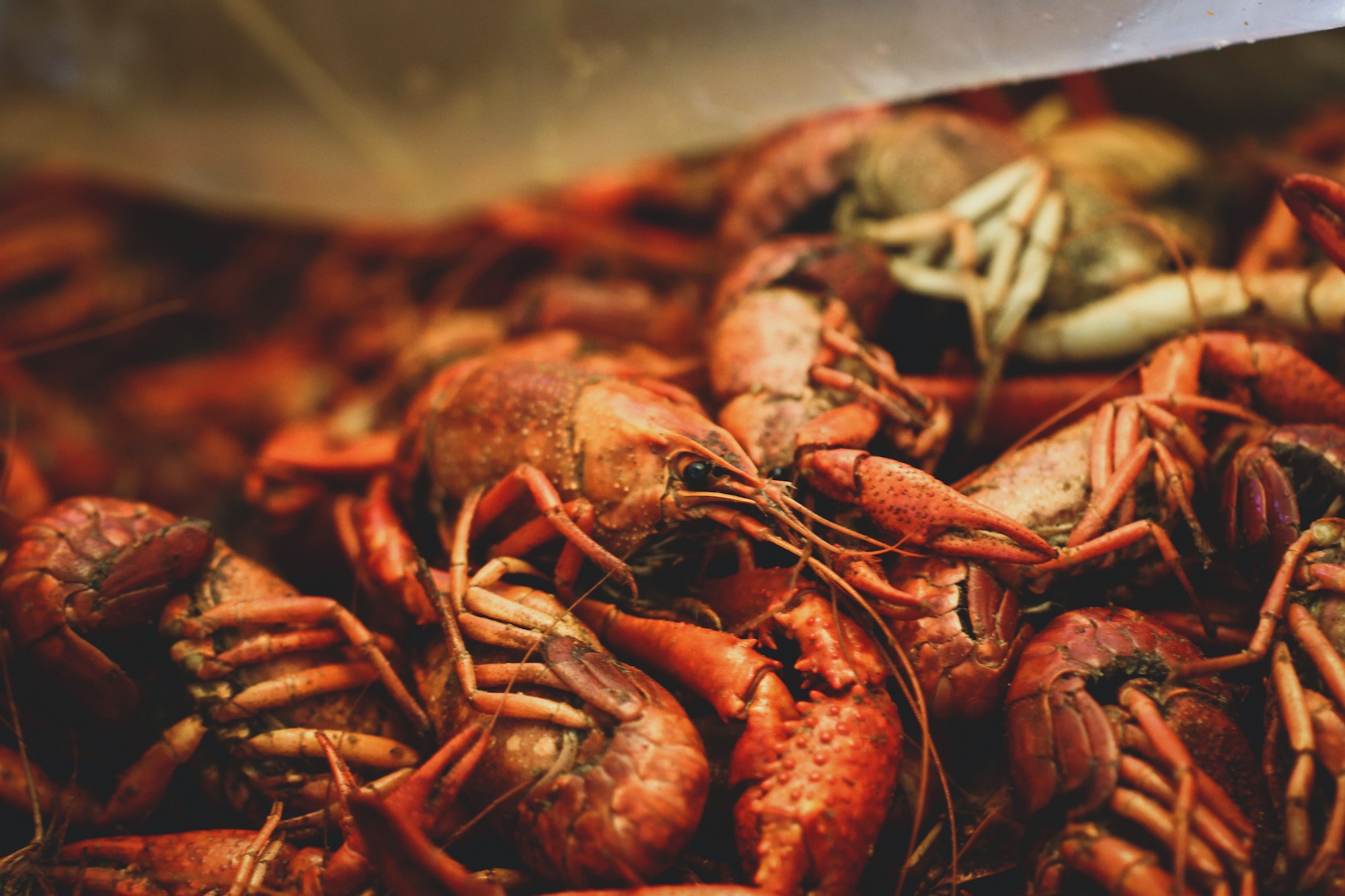 The 27 best Restaurants in New Orleans